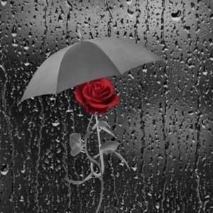 Meet your Posher, Rrose